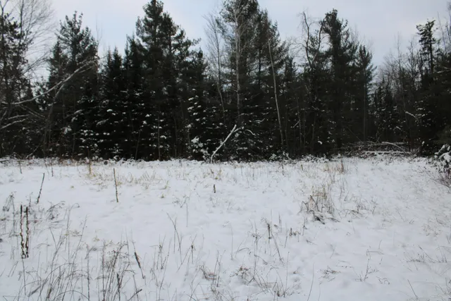 $290,000 | 13396 Funk Road, Hillman, MI 49746