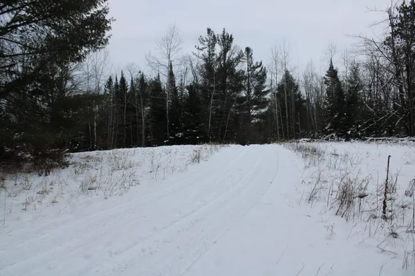 $290,000 | 13396 Funk Road, Hillman, MI 49746