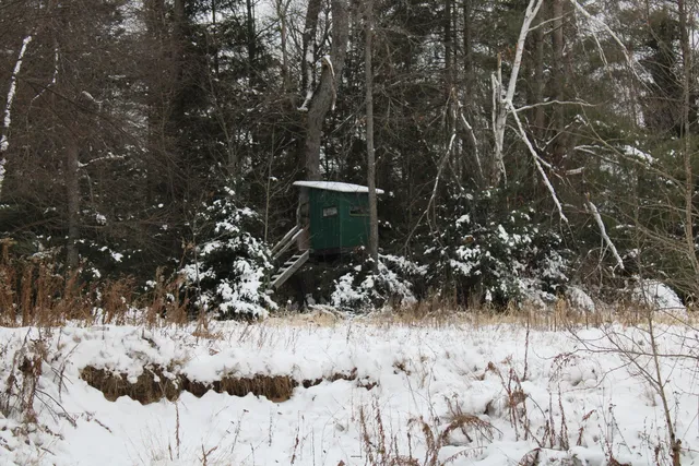 $290,000 | 13396 Funk Road, Hillman, MI 49746