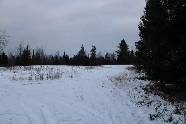 $290,000 | 13396 Funk Road, Hillman, MI 49746