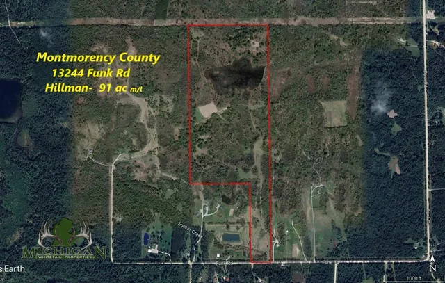 $290,000 | 13396 Funk Road, Hillman, MI 49746