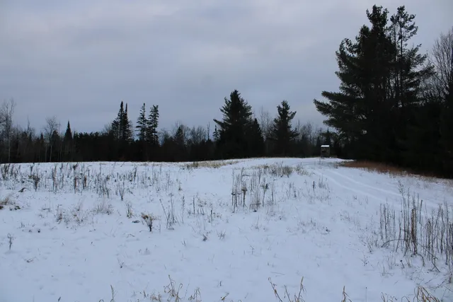 $290,000 | 13396 Funk Road, Hillman, MI 49746