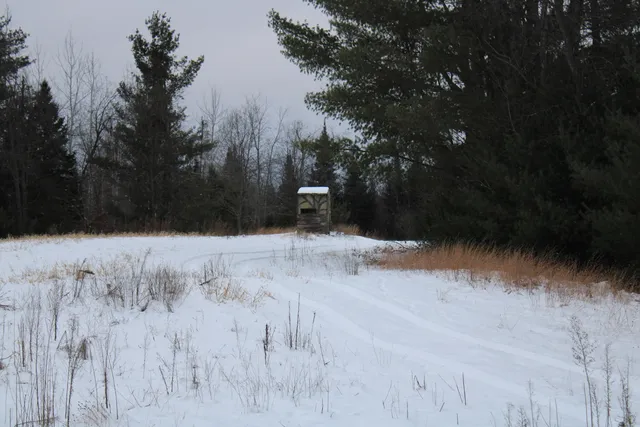 $290,000 | 13396 Funk Road, Hillman, MI 49746