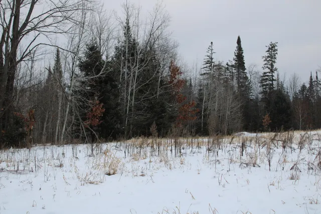 $290,000 | 13396 Funk Road, Hillman, MI 49746