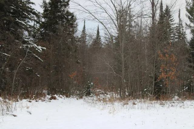 $290,000 | 13396 Funk Road, Hillman, MI 49746