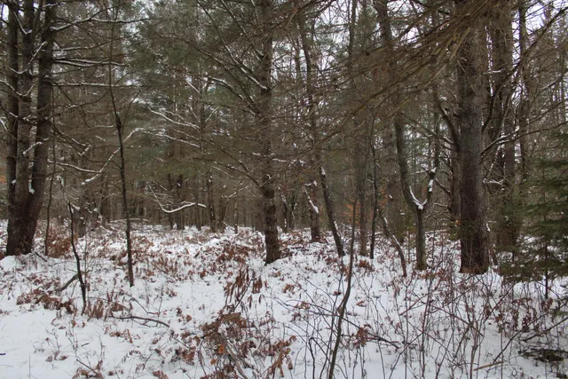 $290,000 | 13396 Funk Road, Hillman, MI 49746