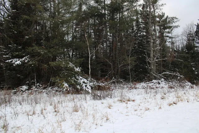 $290,000 | 13396 Funk Road, Hillman, MI 49746