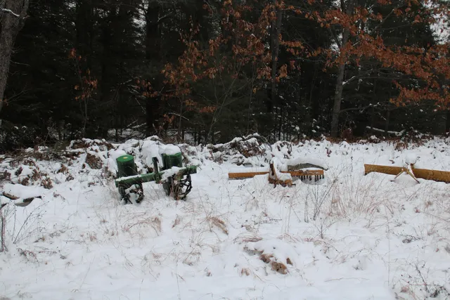 $290,000 | 13396 Funk Road, Hillman, MI 49746