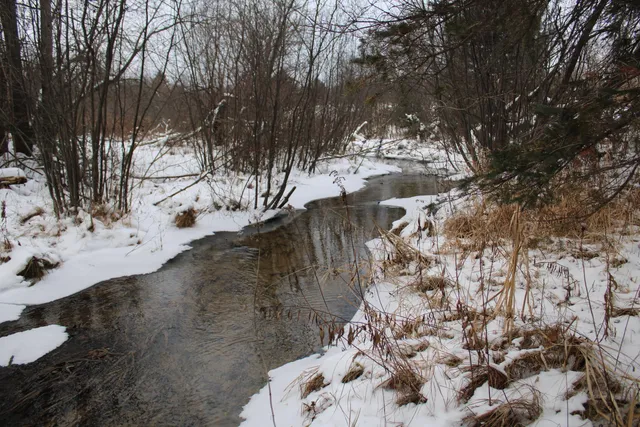 $290,000 | 13396 Funk Road, Hillman, MI 49746