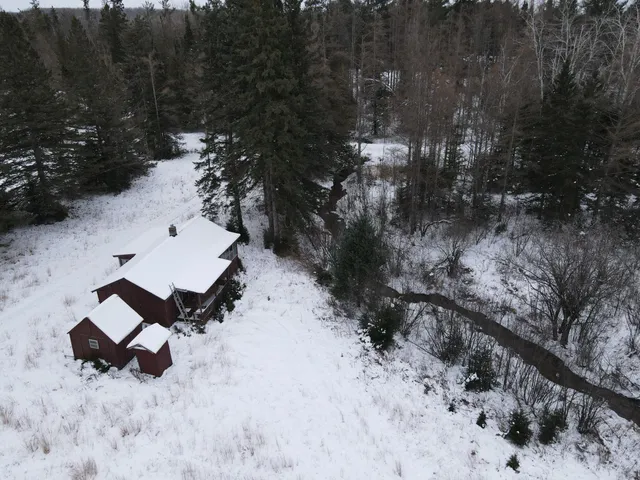 $290,000 | 13396 Funk Road, Hillman, MI 49746