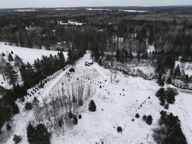 $290,000 | 13396 Funk Road, Hillman, MI 49746