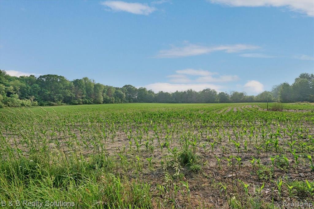 437 Angle Road Lapeer, MI 48446 - Photo 31 of 43