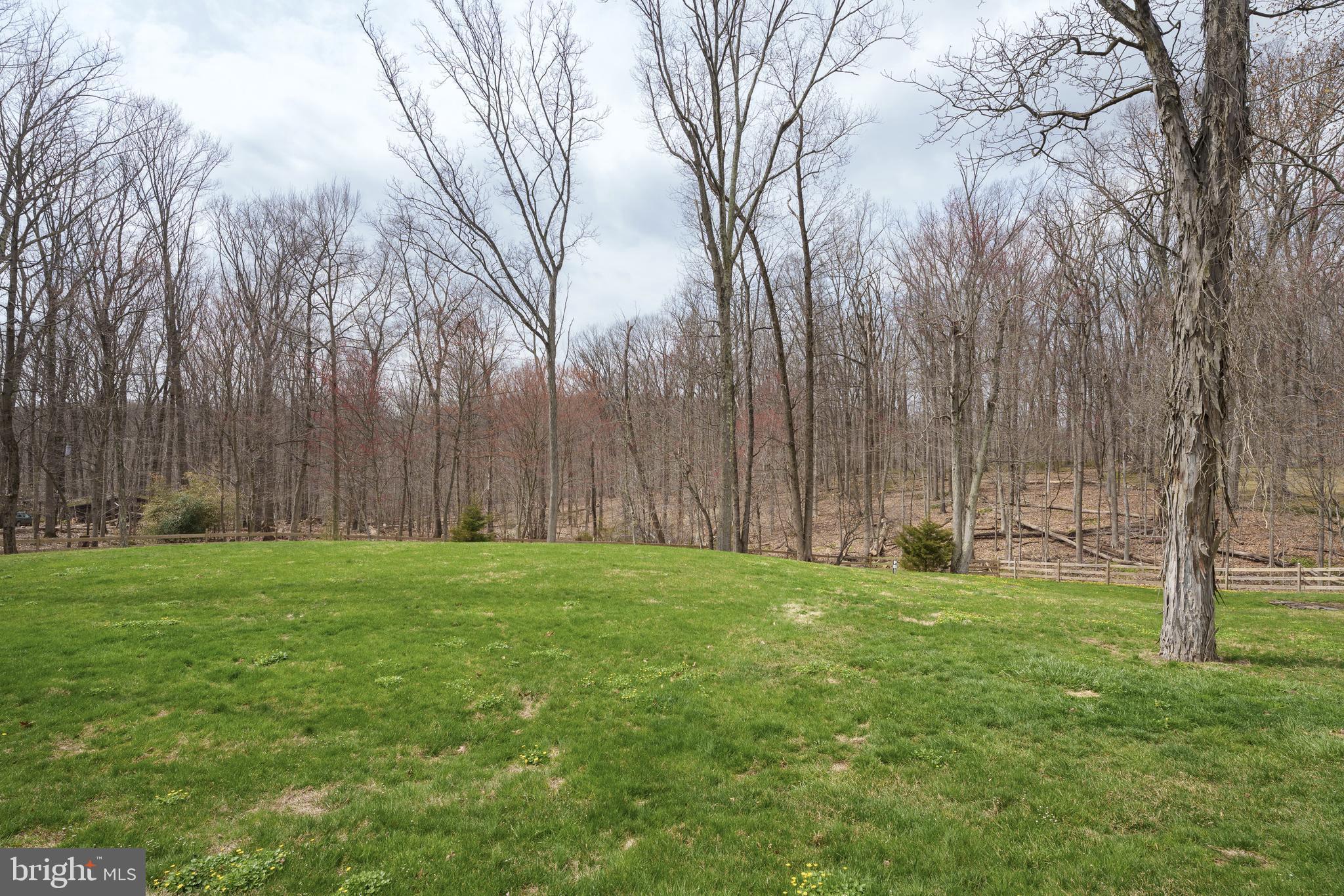 298 Hopewell Amwell Road Hopewell, NJ 08525 - Photo 45 of 51 a view of a back yard