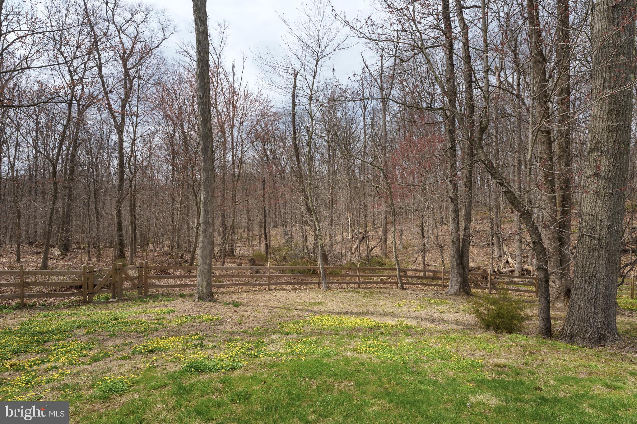298 Hopewell Amwell Road Hopewell, NJ 08525 - Photo 46 of 51 a view of outdoor space with deck and tree
