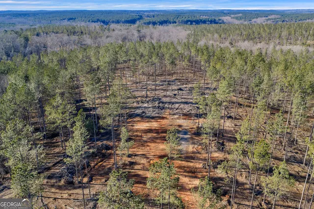 a view of a green field