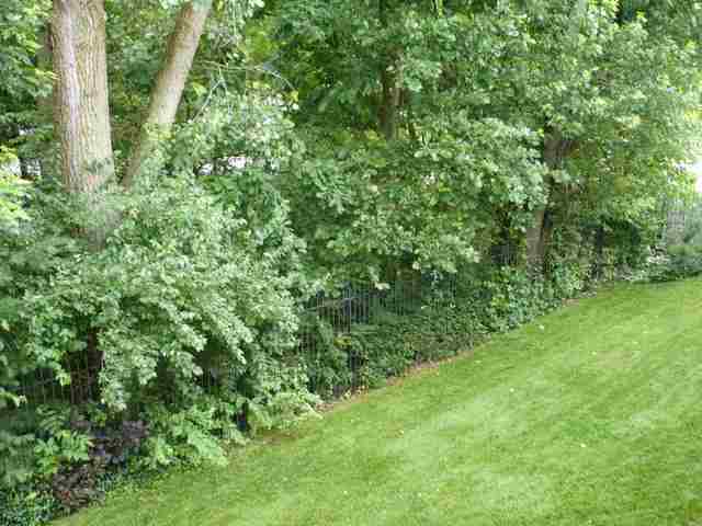1004 Tottenham Court Washington, IL 61571 - Photo 15 of 15 Gallery Image 15