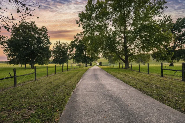 a view of a livingroom with furniture window and wooden floor