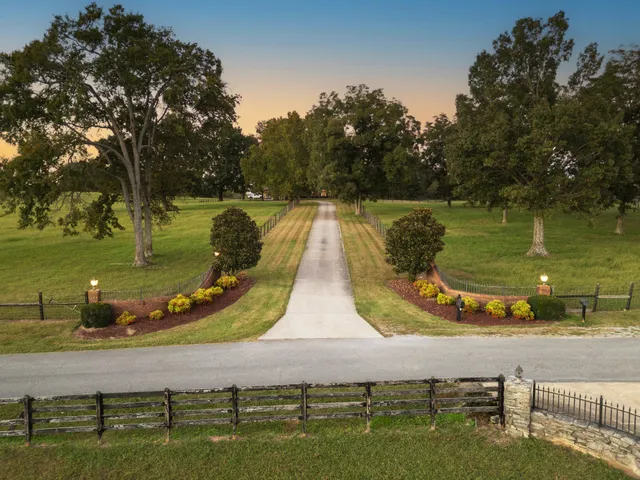 a view of a green field