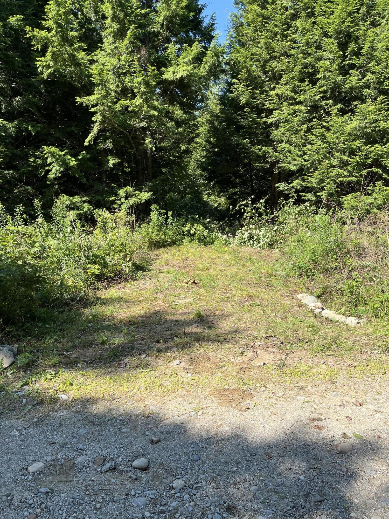 Lot 4 West Indian Road Lincoln, ME 04457 - Photo 11 of 29
