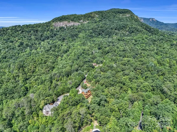 a view of a lush green forest with a mountain