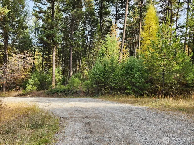 a view of a yard with plants and trees