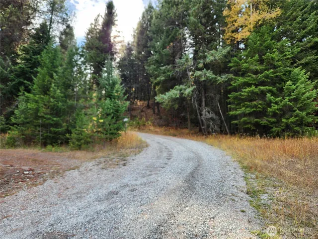 a view of a yard with plants and trees