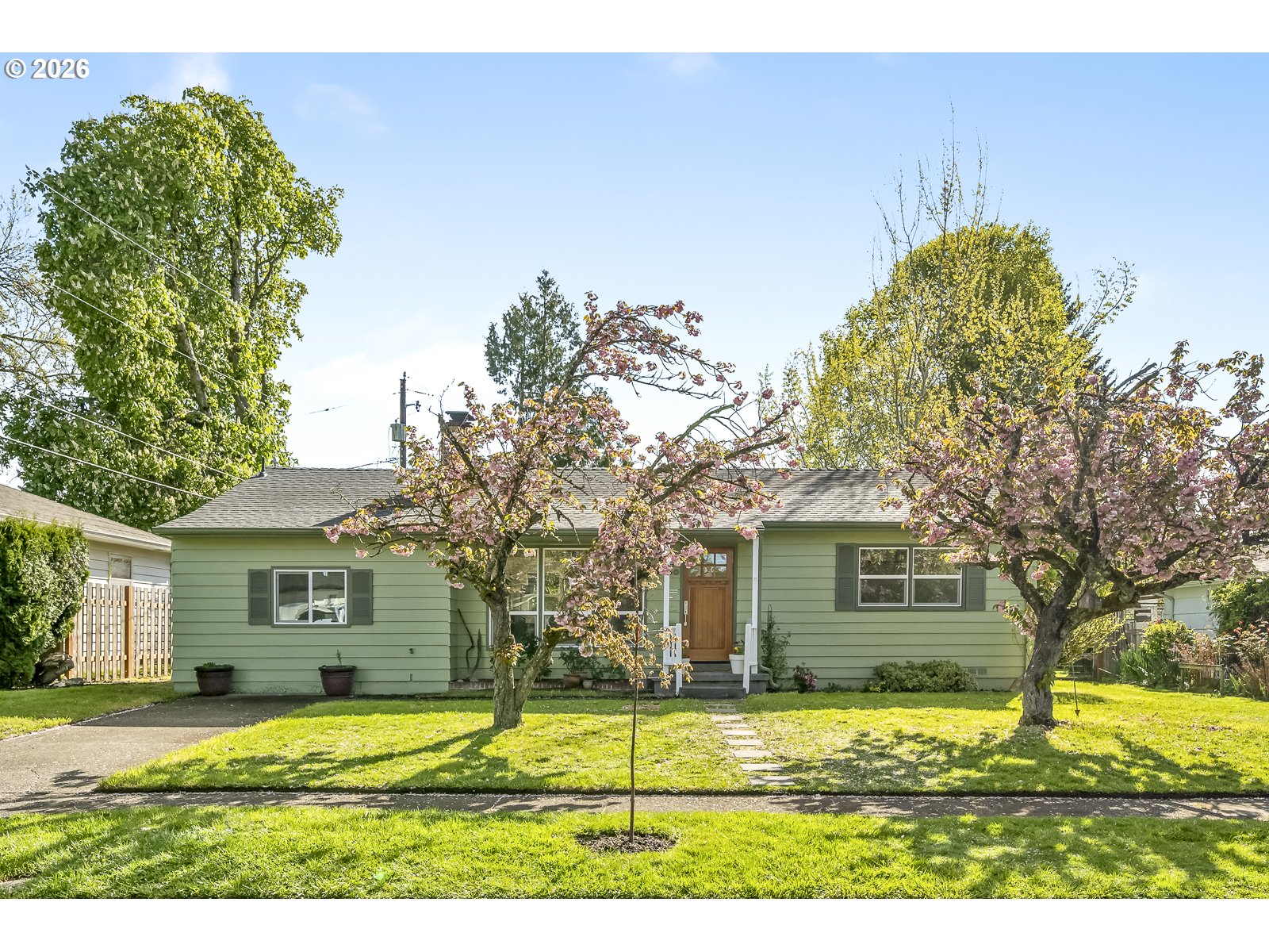 a view of a yard in front of a house with a large tree