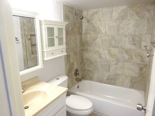 a bathroom with a toilet and a bathtub