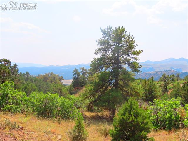 493 Cheyenne Road Florissant, CO 80816 - Photo 22 of 24 Gallery Image 22
