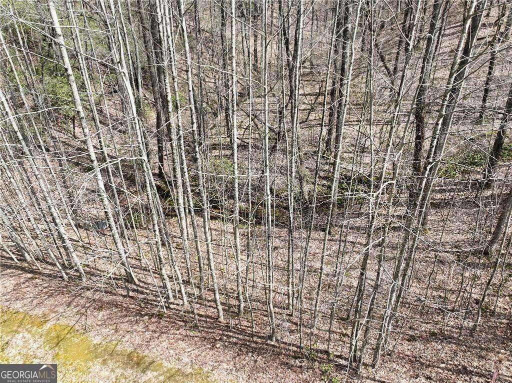 64 St. Andrews Way Jasper, GA 30143 - Photo 11 of 26