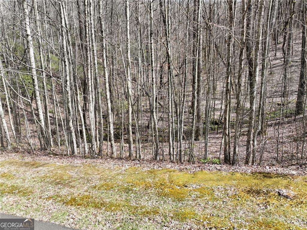 64 St. Andrews Way Jasper, GA 30143 - Photo 12 of 26