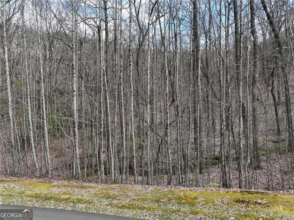 64 St. Andrews Way Jasper, GA 30143 - Photo 15 of 26