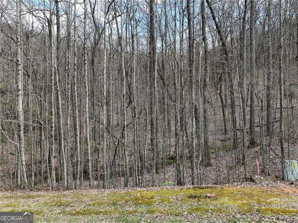 64 St. Andrews Way Jasper, GA 30143 - Photo 16 of 26