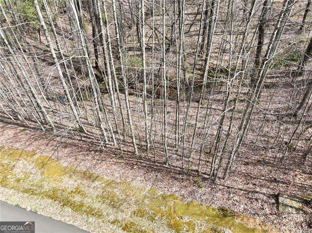 64 St. Andrews Way Jasper, GA 30143 - Photo 17 of 26