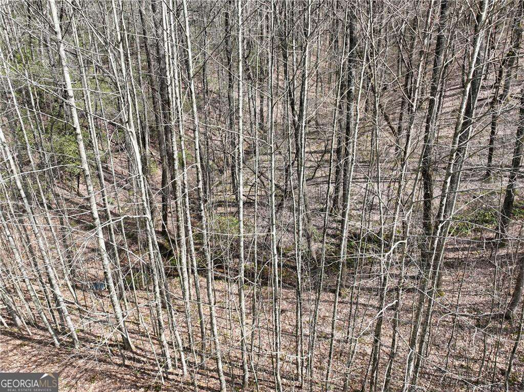 64 St. Andrews Way Jasper, GA 30143 - Photo 18 of 26