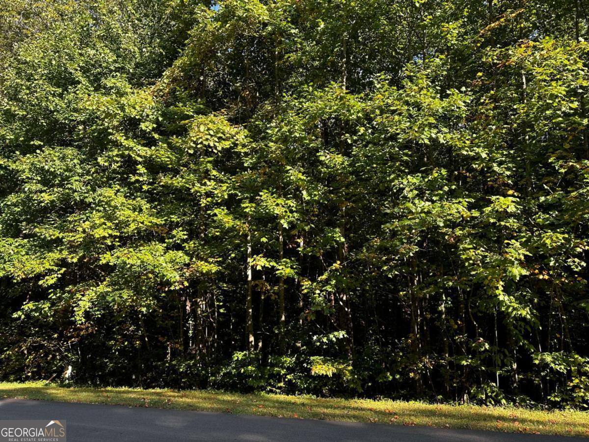 64 St. Andrews Way Jasper, GA 30143 - Photo 21 of 26