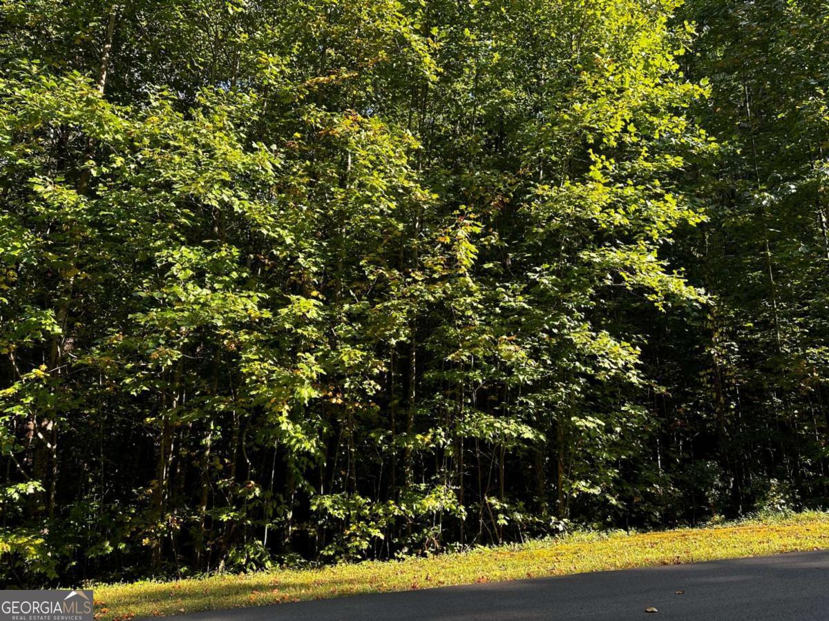 64 St. Andrews Way Jasper, GA 30143 - Photo 22 of 26