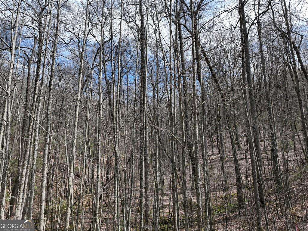 64 St. Andrews Way Jasper, GA 30143 - Photo 8 of 26