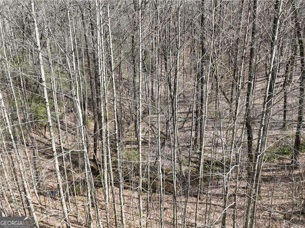 64 St. Andrews Way Jasper, GA 30143 - Photo 9 of 26