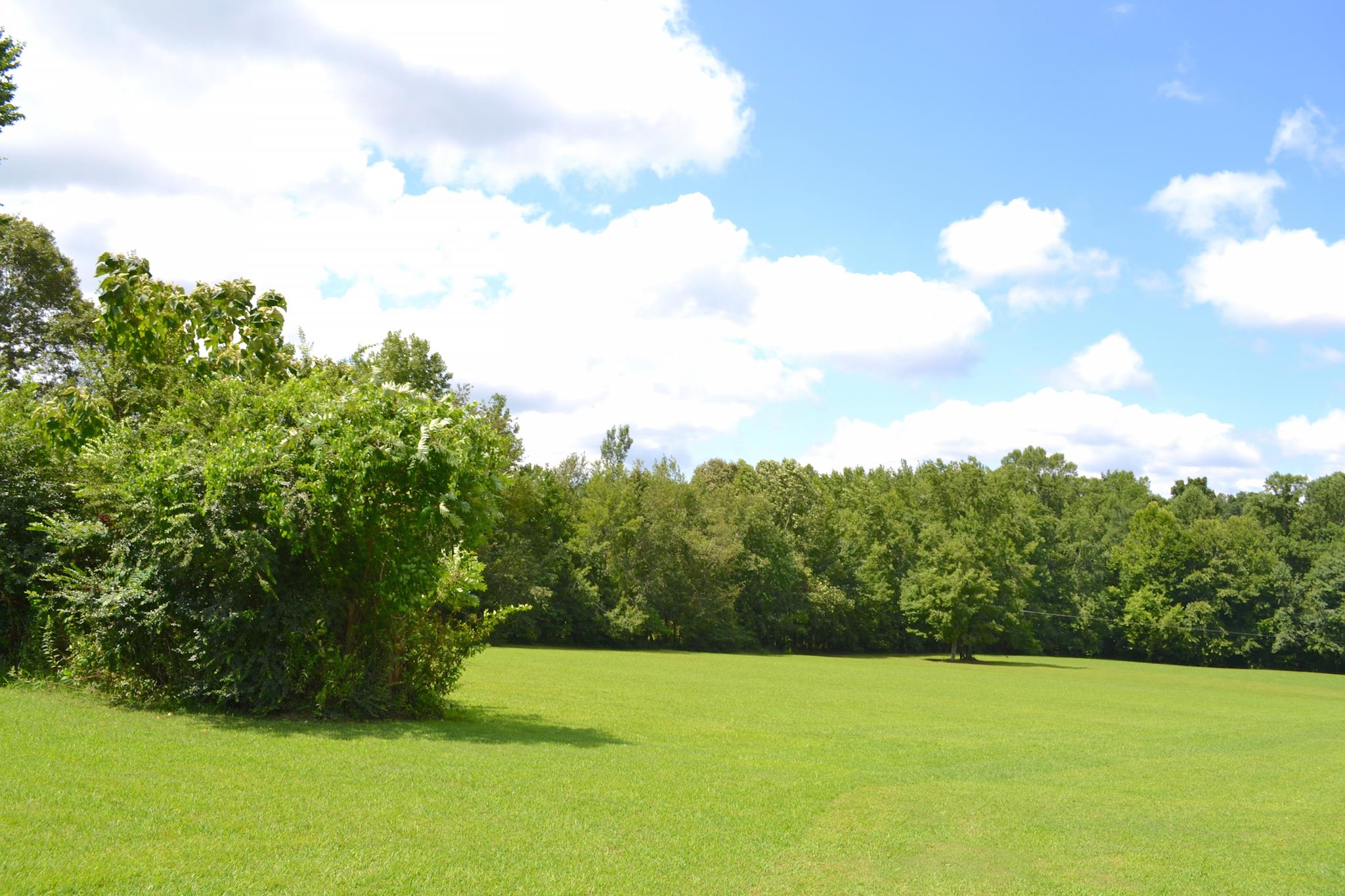 7209 Crow Cut Road Fairview, TN 37062 - Photo 29 of 30 a view of an ocean and yard