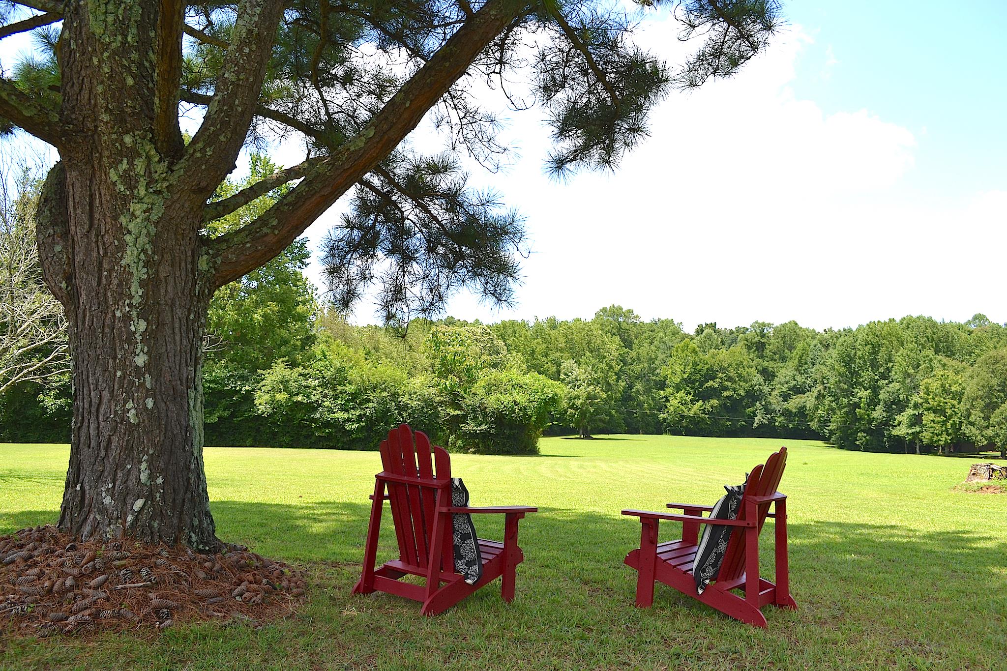 7209 Crow Cut Road Fairview, TN 37062 - Photo 30 of 30 a view of a park with large trees