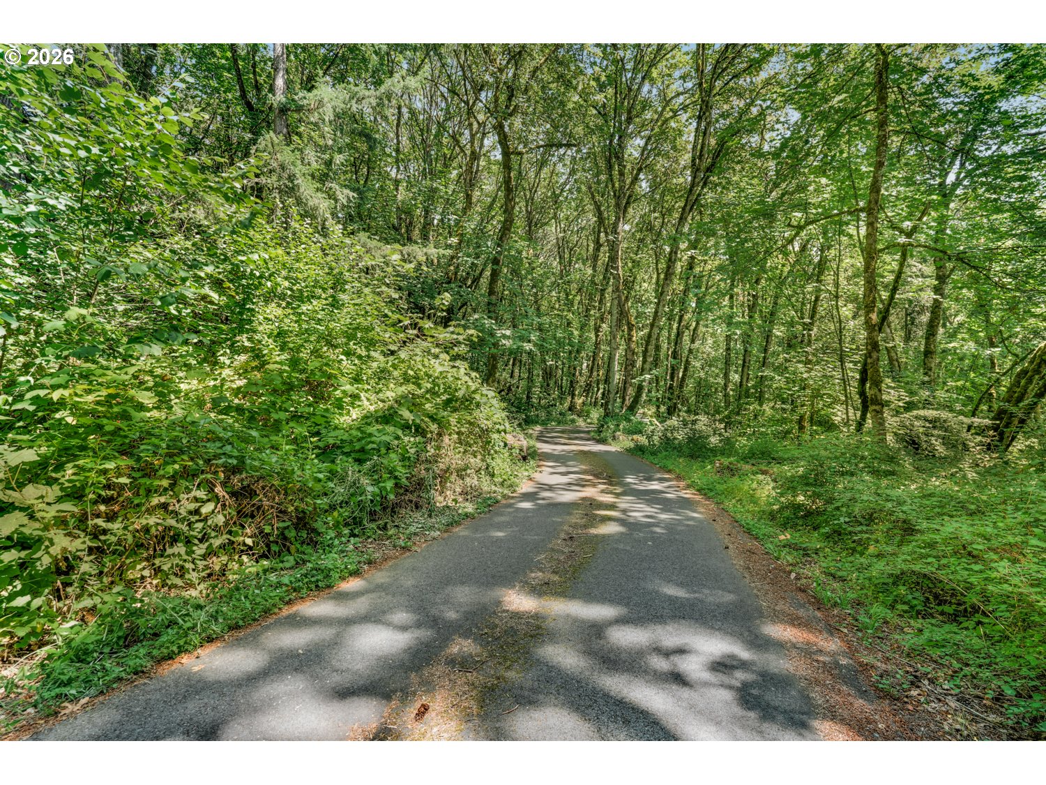 0 Northeast Ingle Road Camas, WA 98607 - Photo 14 of 17