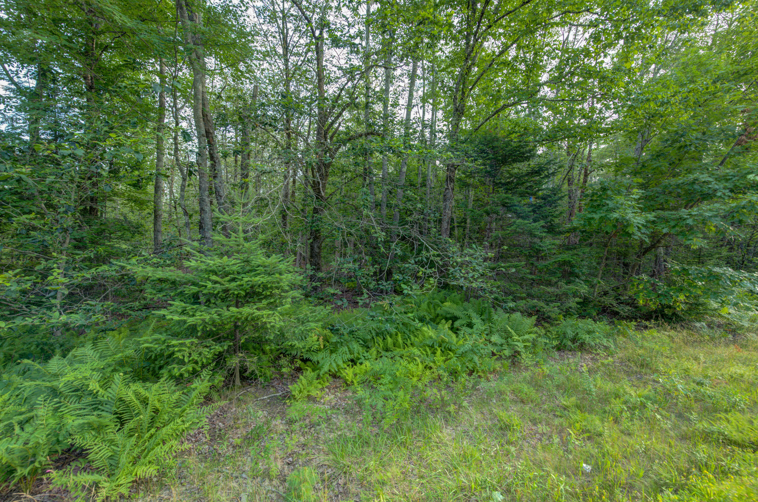 Map2-lot13 Augusta Road Washington, ME 04574 - Photo 9 of 15 pic-7