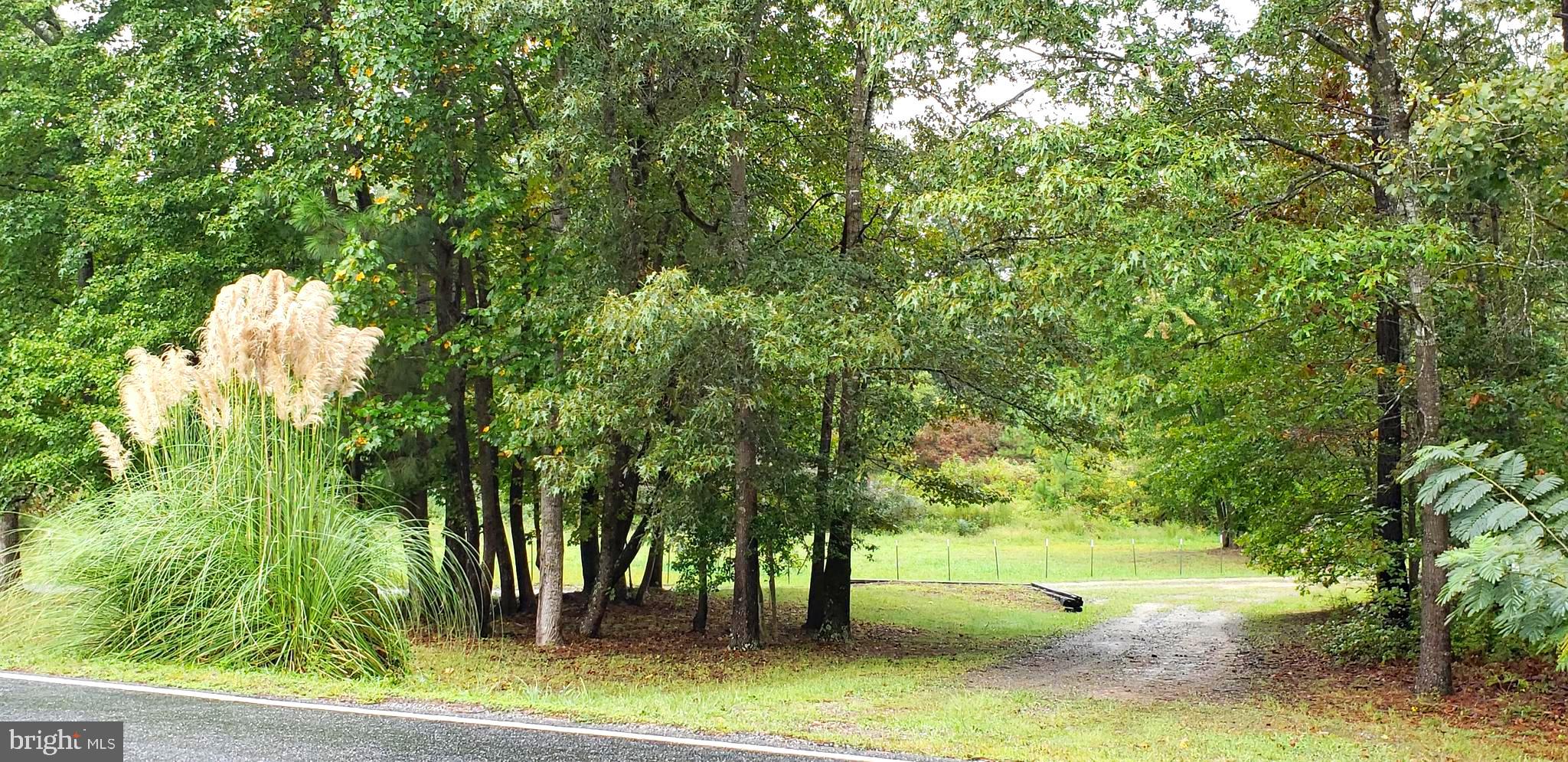 22147 Sparta Road Milford, VA 22514 - Photo 1 of 46 Dual Entry Drive off Sparta Road