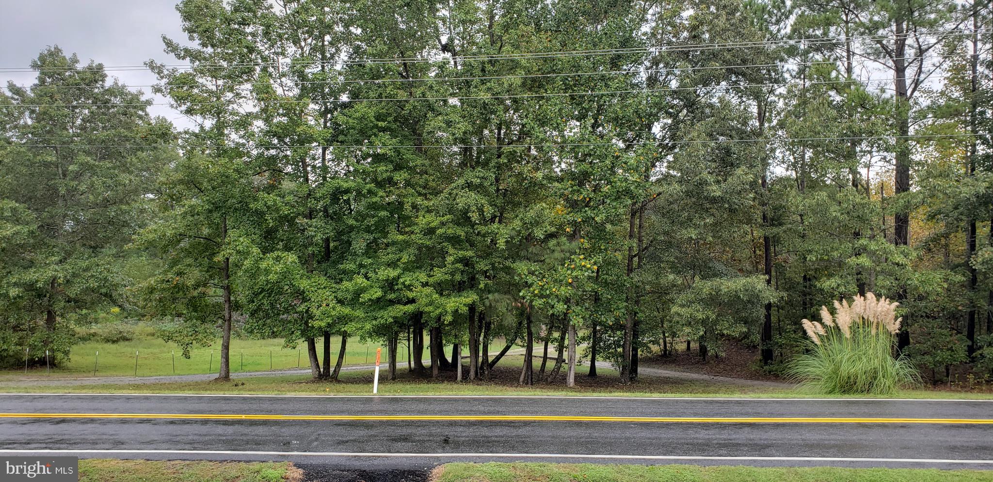 22147 Sparta Road Milford, VA 22514 - Photo 2 of 46