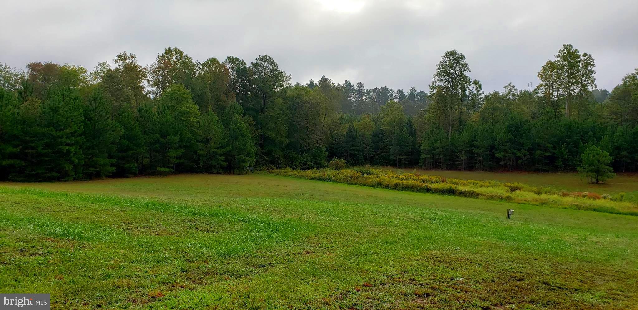 22147 Sparta Road Milford, VA 22514 - Photo 15 of 46 View from Manufactured home and Septic System