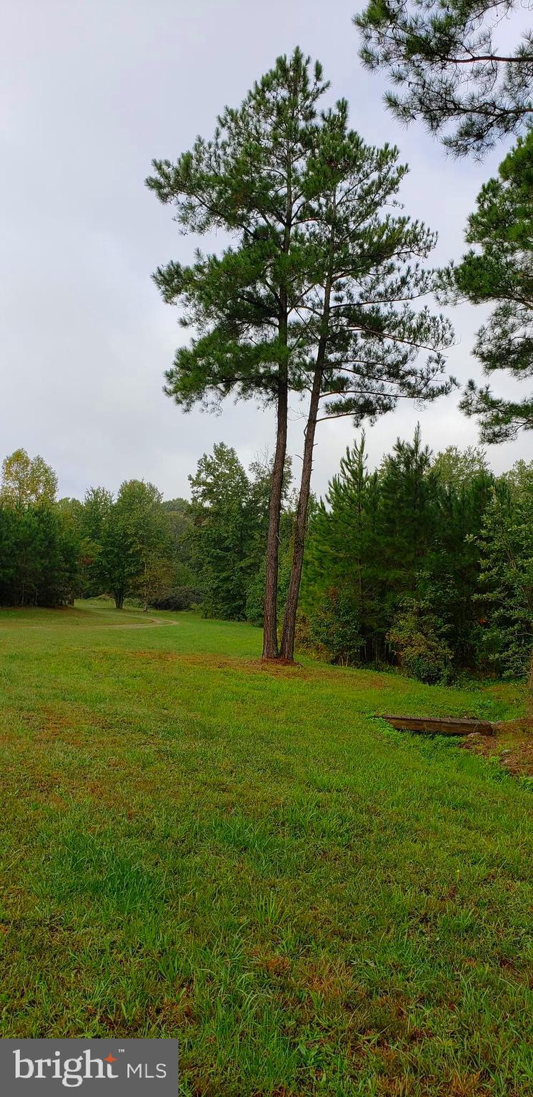 22147 Sparta Road Milford, VA 22514 - Photo 25 of 46