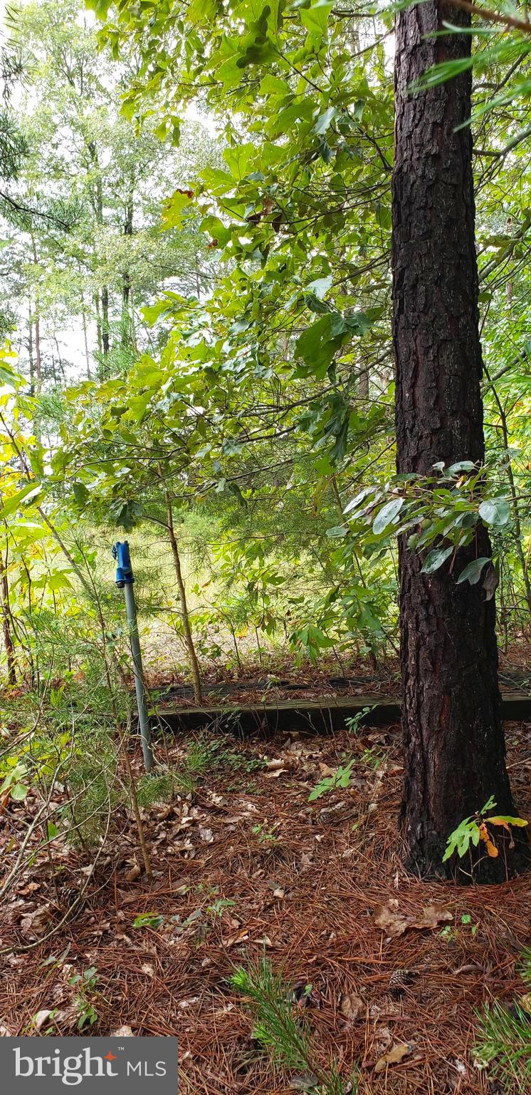 22147 Sparta Road Milford, VA 22514 - Photo 26 of 46 One of 4 access points to well water