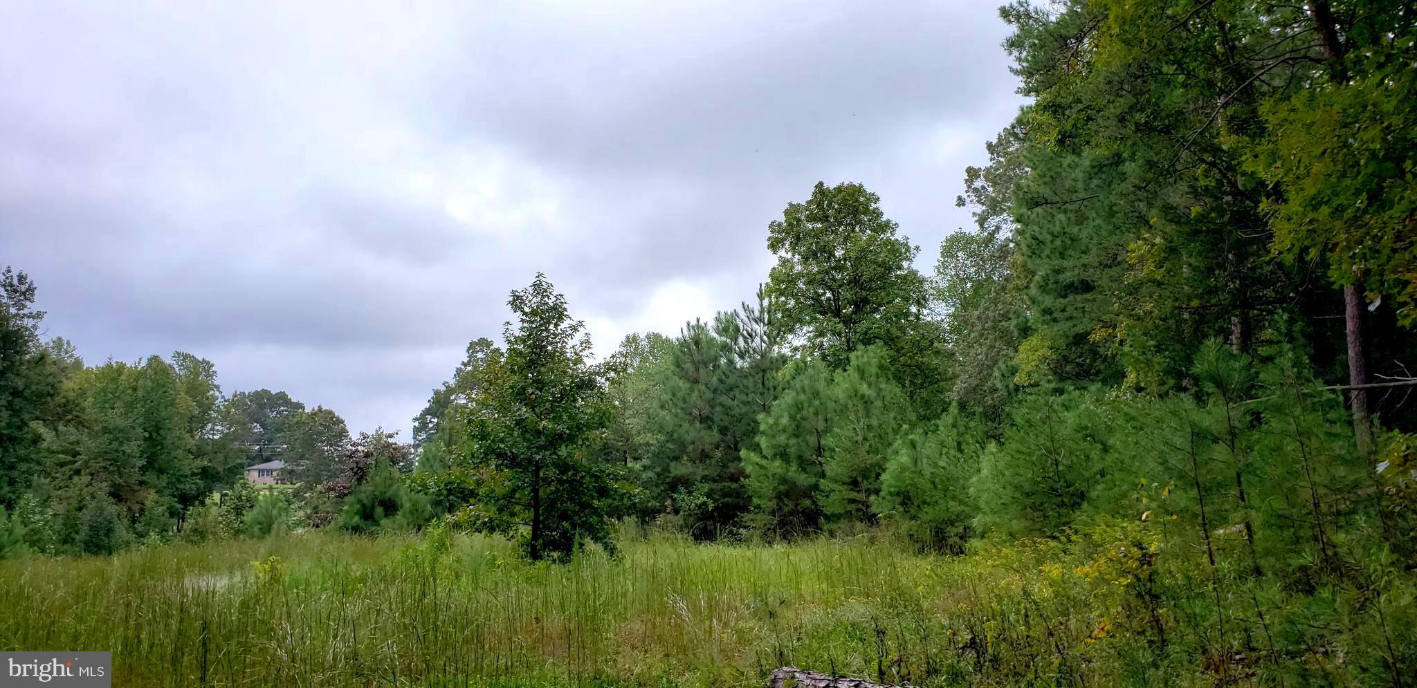 22147 Sparta Road Milford, VA 22514 - Photo 29 of 46 Cleared area for a Barn build