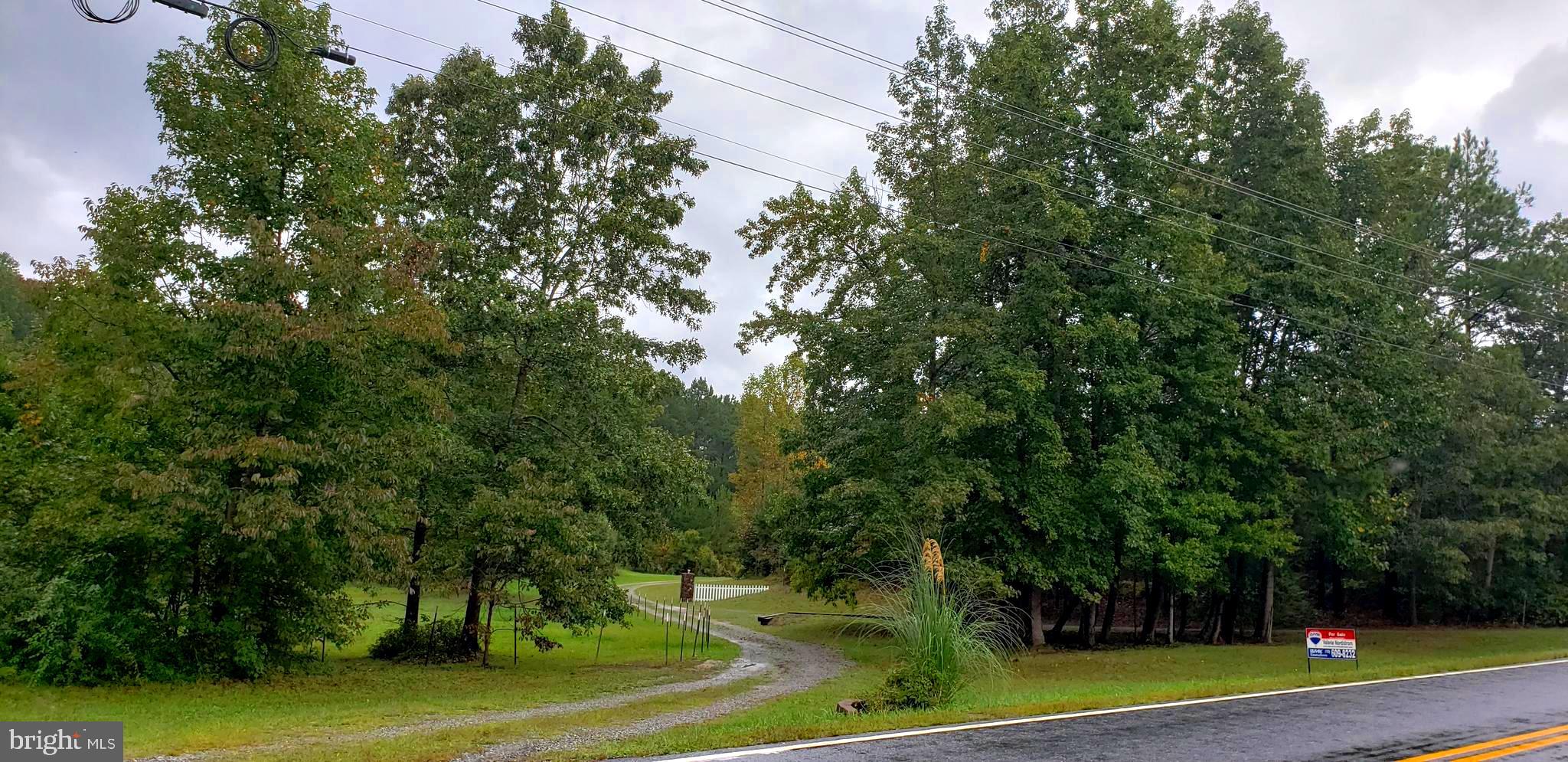 22147 Sparta Road Milford, VA 22514 - Photo 31 of 46